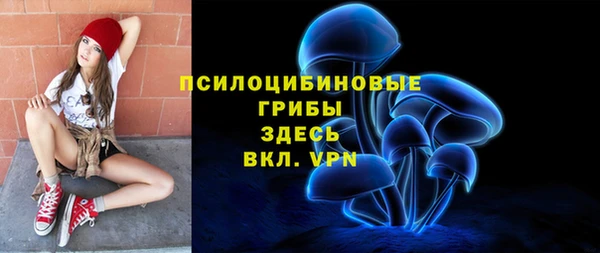 амф Липки